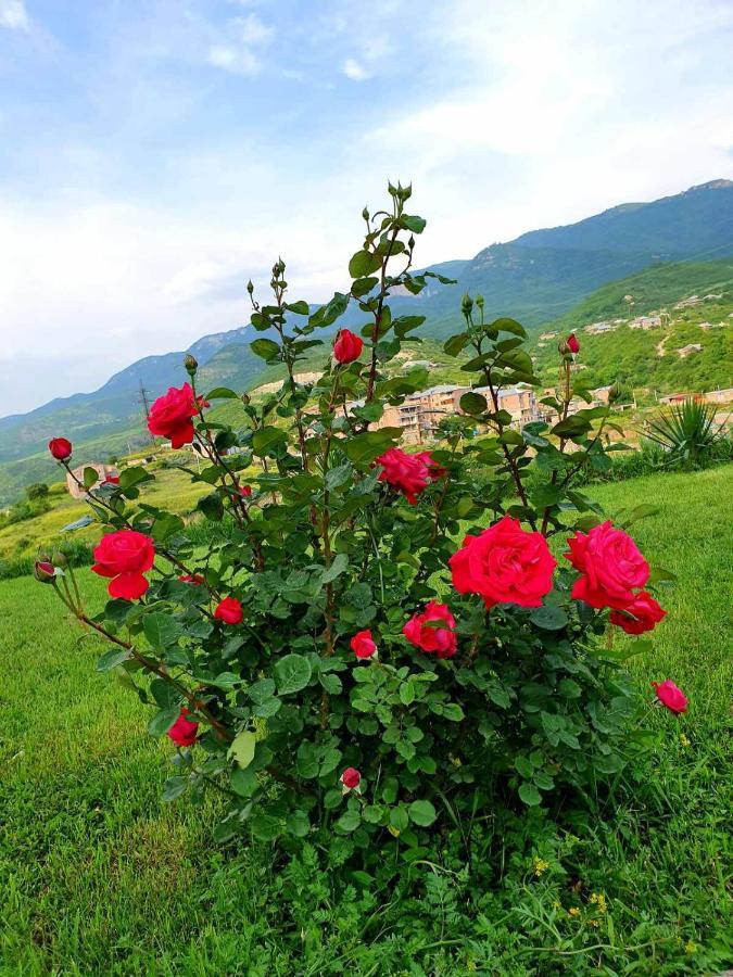 Guest House Ijevan's Garden Buitenkant foto
