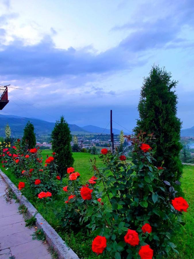 Guest House Ijevan's Garden Buitenkant foto