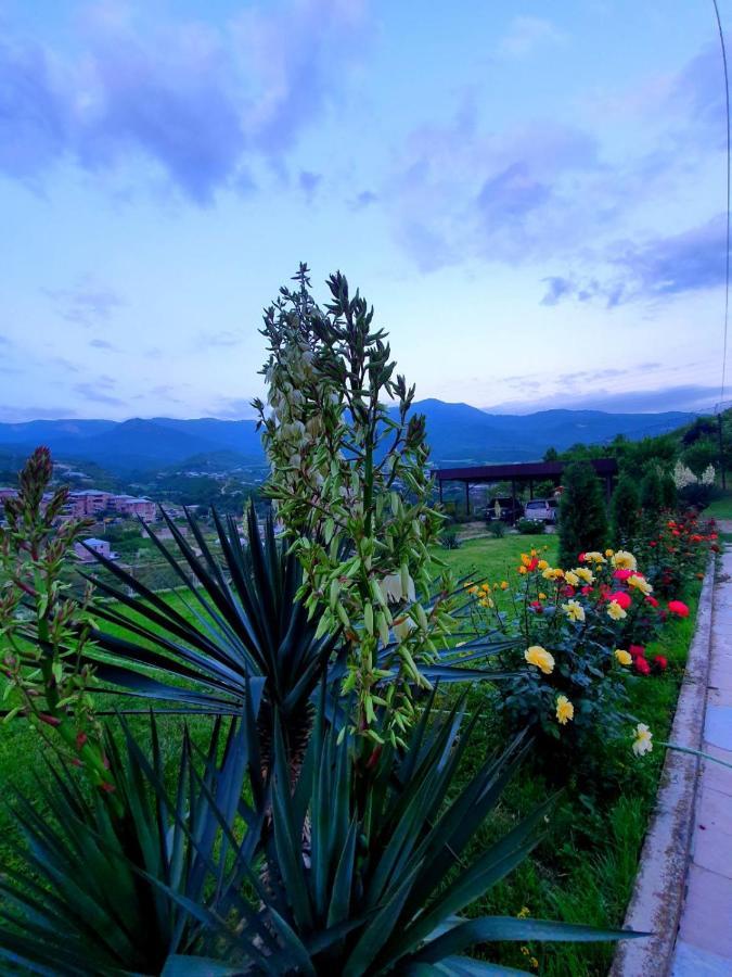 Guest House Ijevan's Garden Buitenkant foto