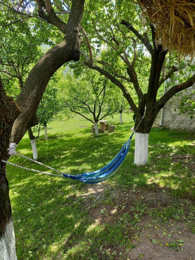 Guest House Ijevan's Garden Buitenkant foto