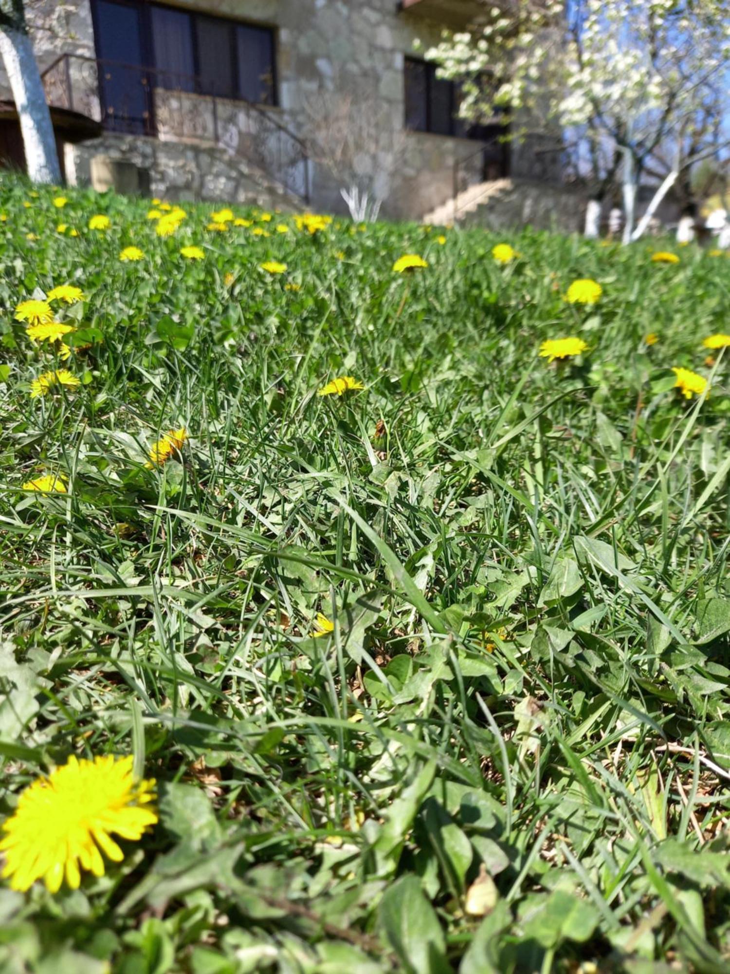 Guest House Ijevan's Garden Buitenkant foto