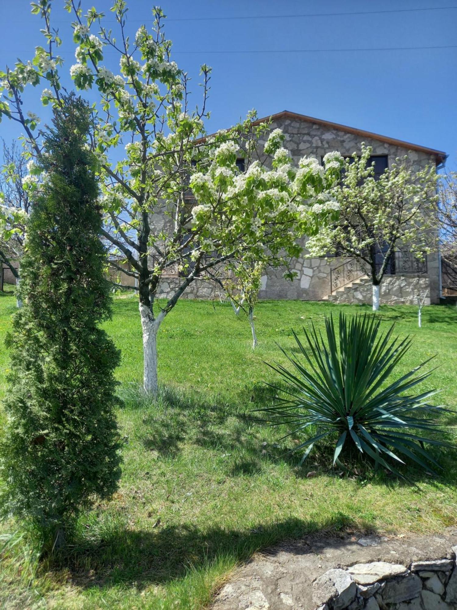 Guest House Ijevan's Garden Buitenkant foto