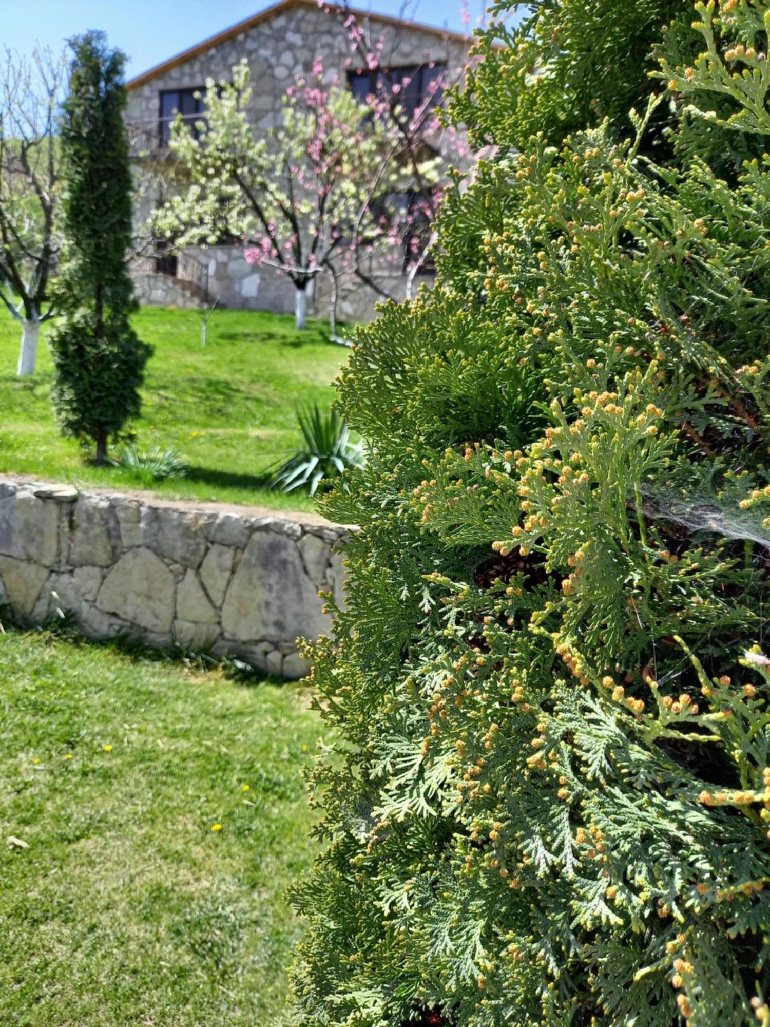 Guest House Ijevan's Garden Buitenkant foto