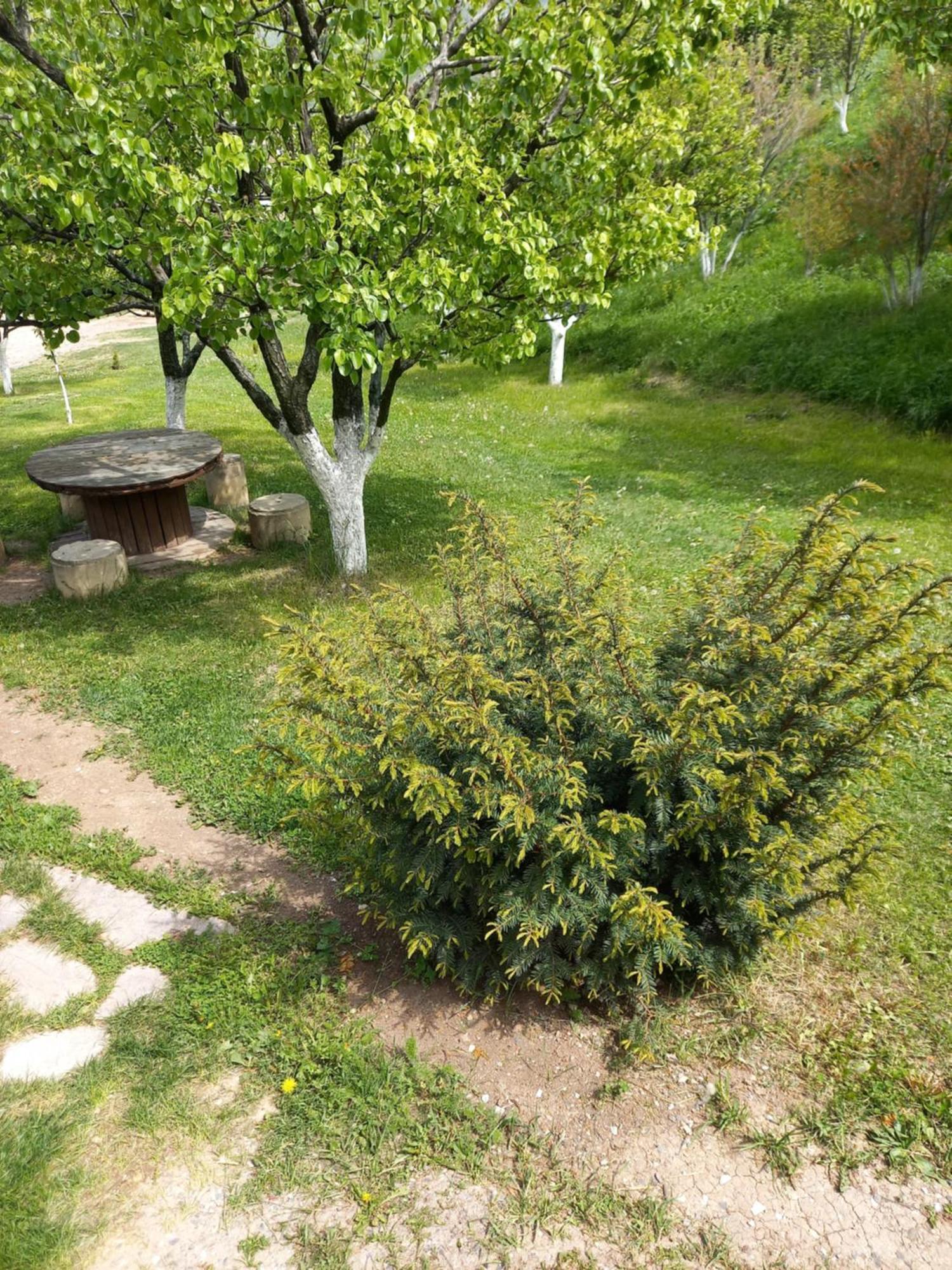 Guest House Ijevan's Garden Buitenkant foto