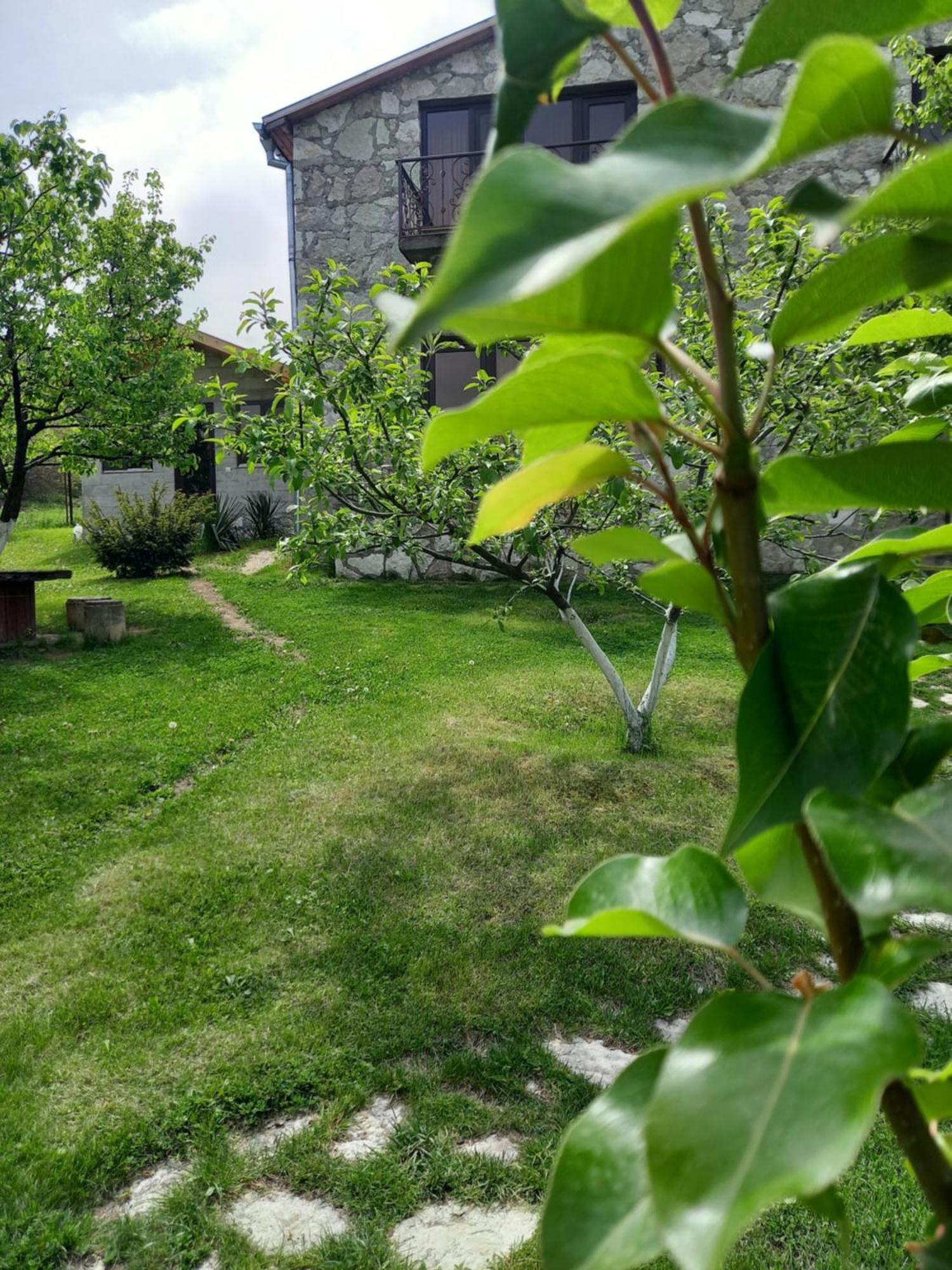 Guest House Ijevan's Garden Buitenkant foto