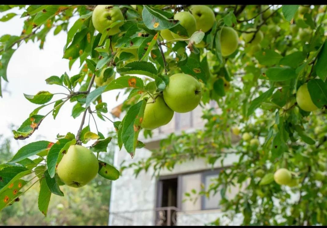 Guest House Ijevan's Garden Buitenkant foto