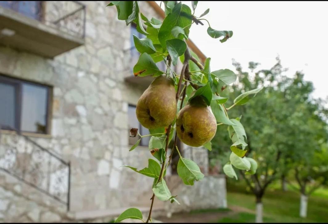 Guest House Ijevan's Garden Buitenkant foto