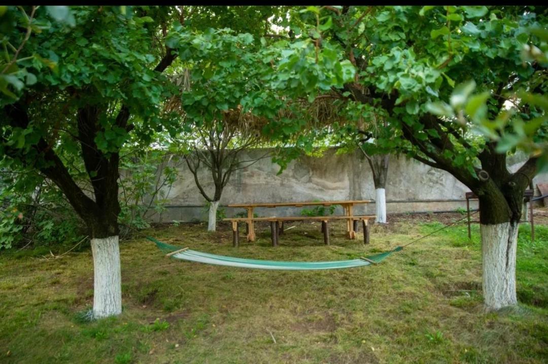 Guest House Ijevan's Garden Buitenkant foto